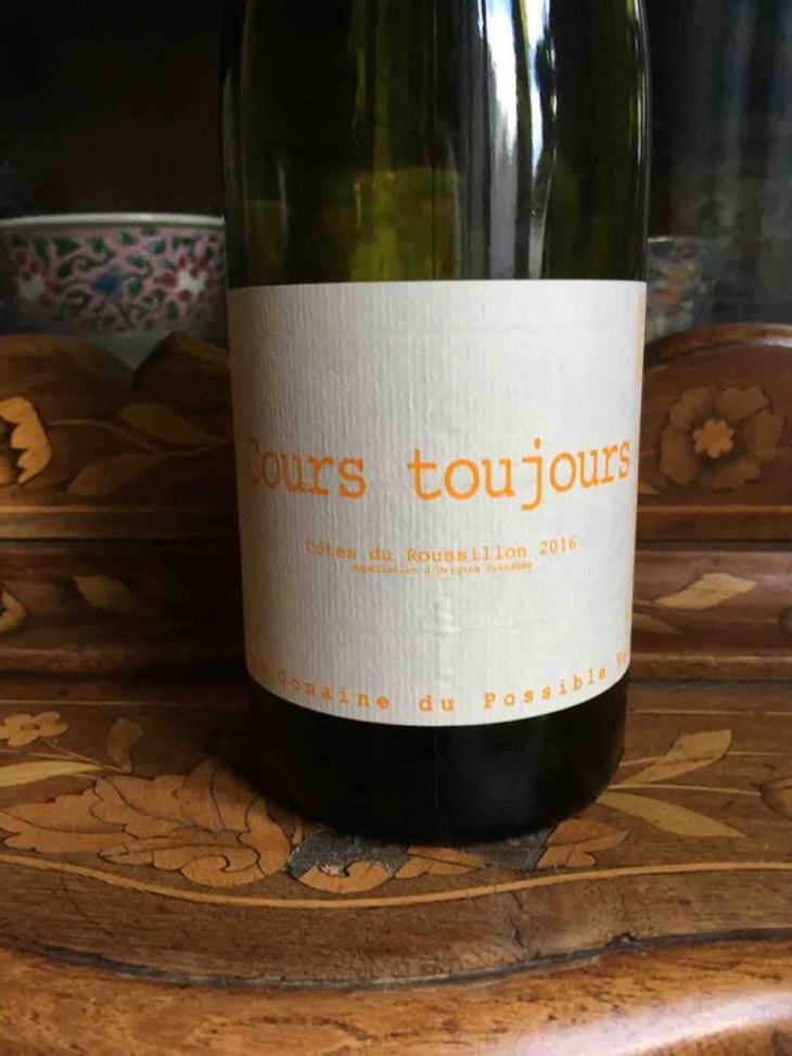 Cours Toujours - Domaine du Possible - Loïc Roure 