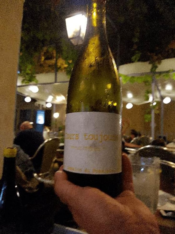 Cours Toujours - Domaine du Possible - Loïc Roure 