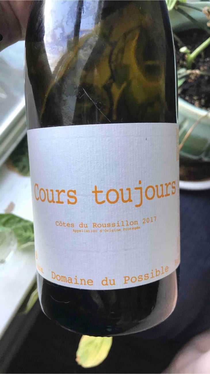 Cours Toujours - Domaine du Possible - Loïc Roure 