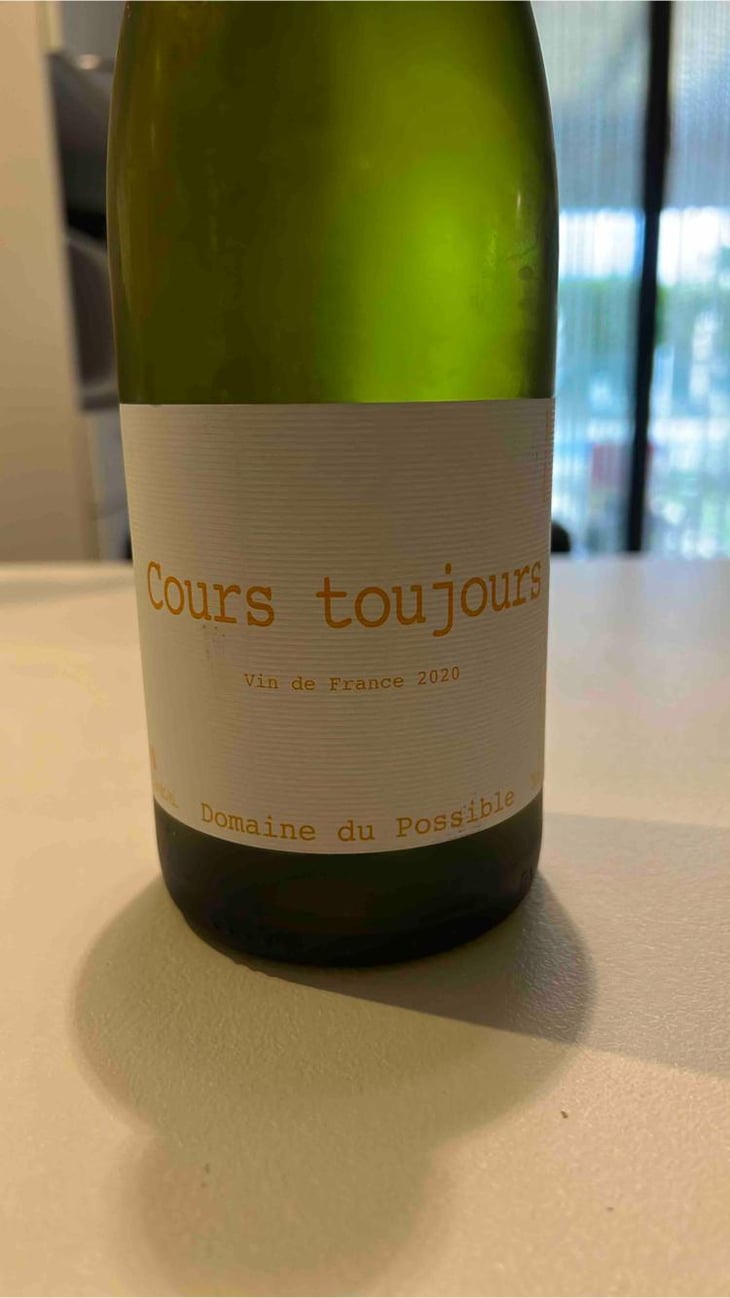 Cours Toujours - Domaine du Possible - Loïc Roure 