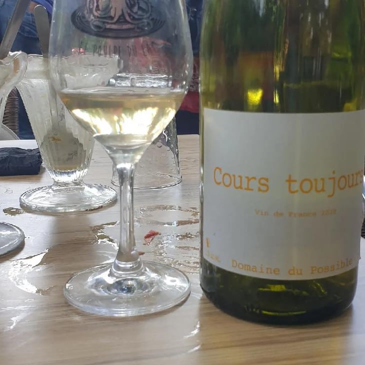 Cours Toujours - Domaine du Possible - Loïc Roure 