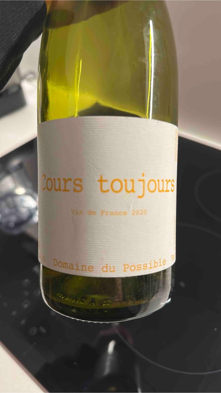 Cours Toujours - Domaine du Possible - Loïc Roure 