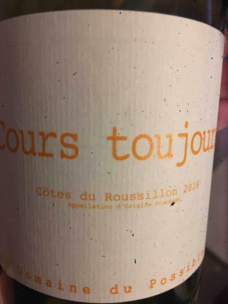 Cours Toujours - Domaine du Possible - Loïc Roure 