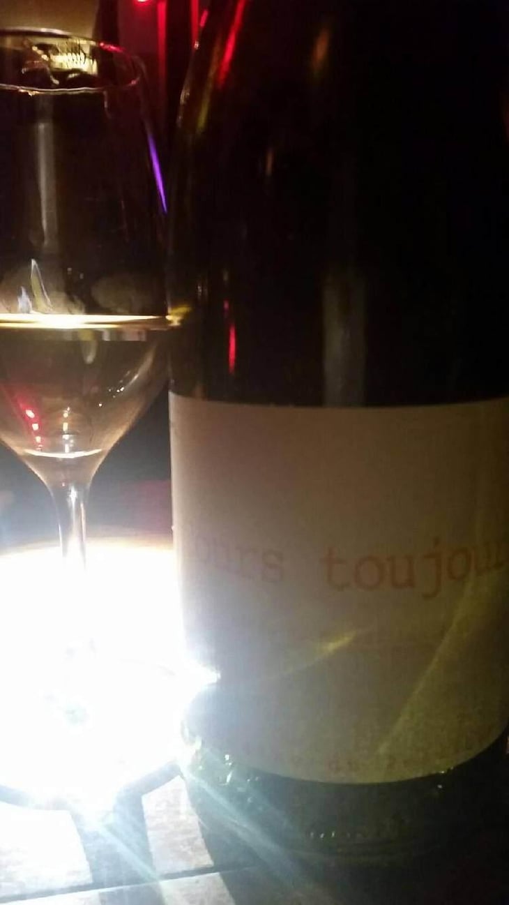 Cours Toujours - Domaine du Possible - Loïc Roure 
