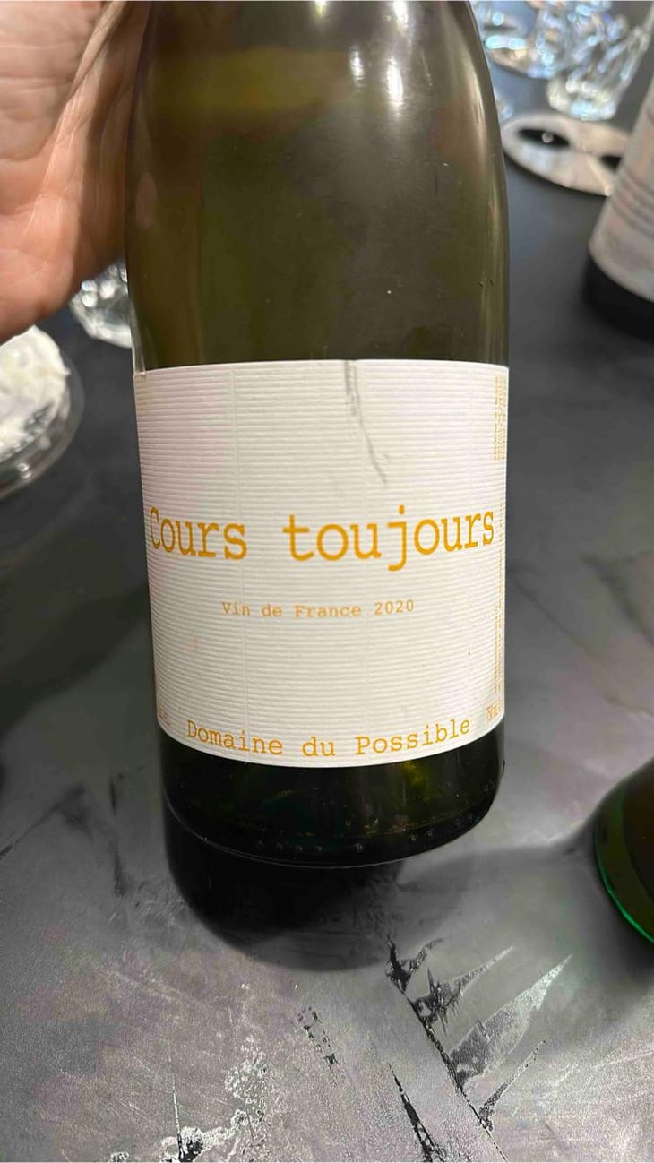Cours Toujours - Domaine du Possible - Loïc Roure 