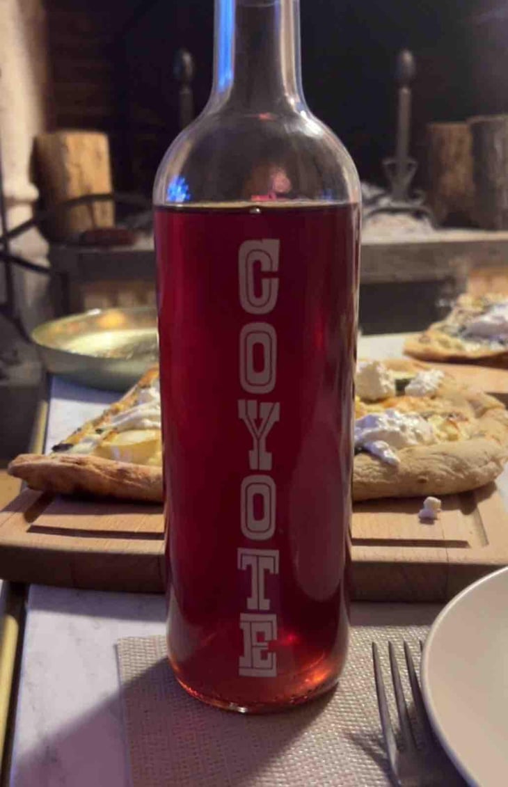 Coyotte - Marius Bielle - Damien Bielle -2021