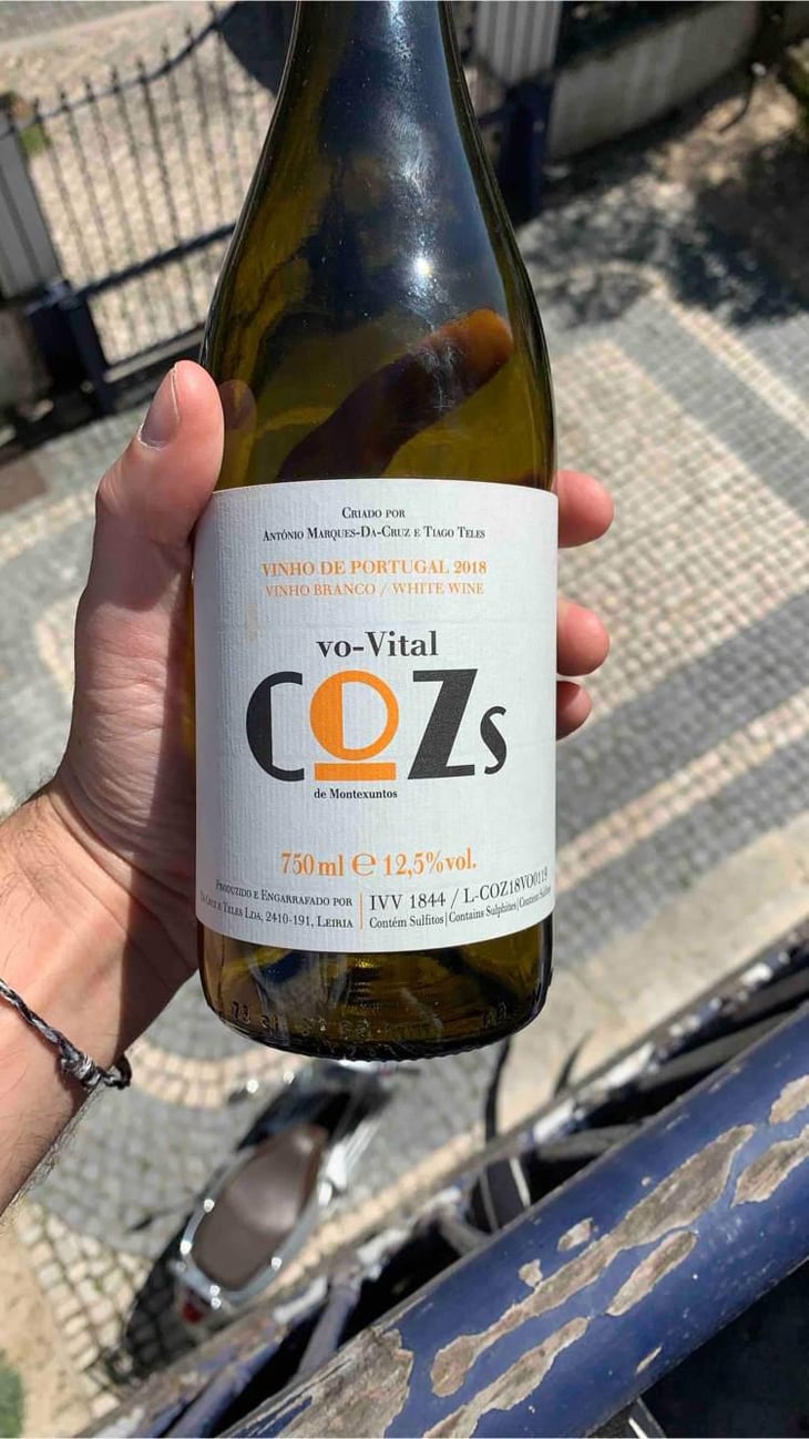 Cozs Vo-Vital - Tiago Teles - Tiago Teles 