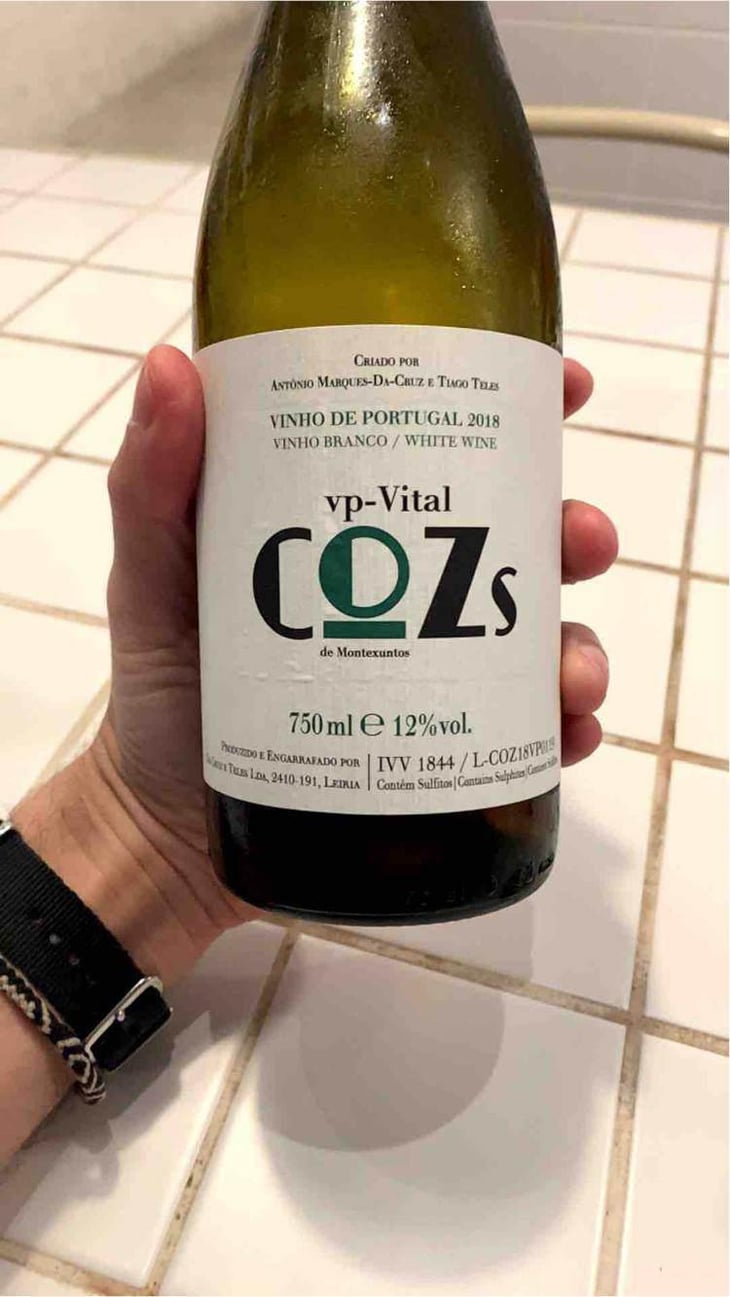 Cozs Vp-Vital - Tiago Teles - Tiago Teles 