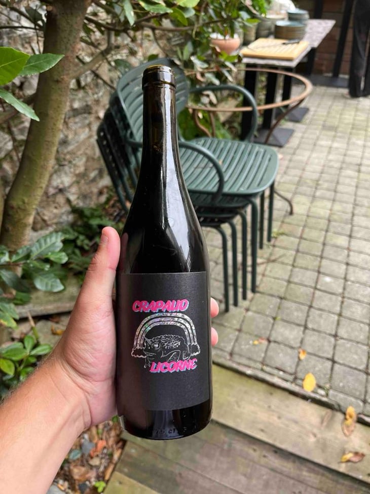 Crapaud Licorne - Danis Dans la Vigne - Danis Bessières -2020