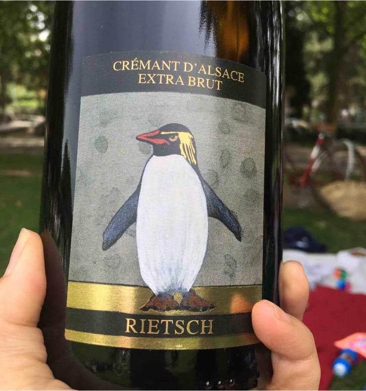 Crémant D'Alsace Extra Brut - Domaine Rietsch - Jean-Pierre & Sophie Rietsch 