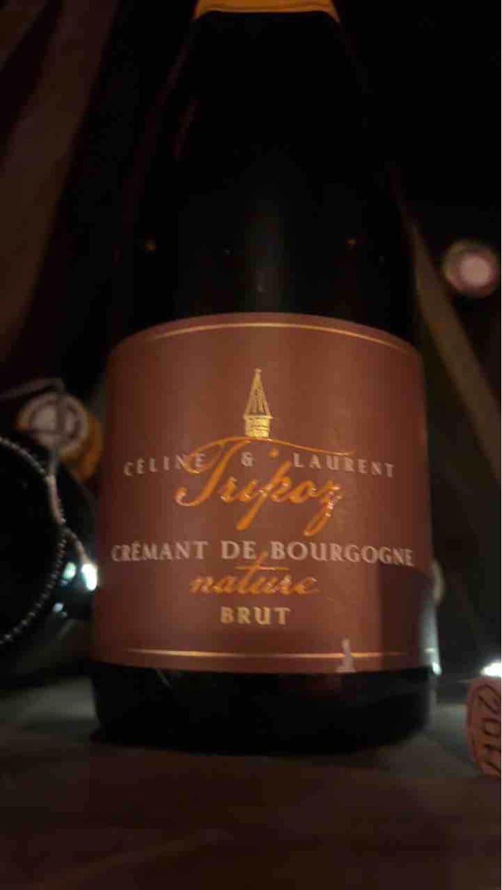 Crémant de Bourgogne Brut Nature - Domaine Tripoz - Céline & Laurent Tripoz 