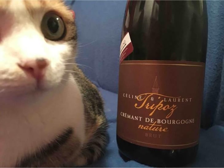 Crémant de Bourgogne Brut Nature - Domaine Tripoz - Céline & Laurent Tripoz 