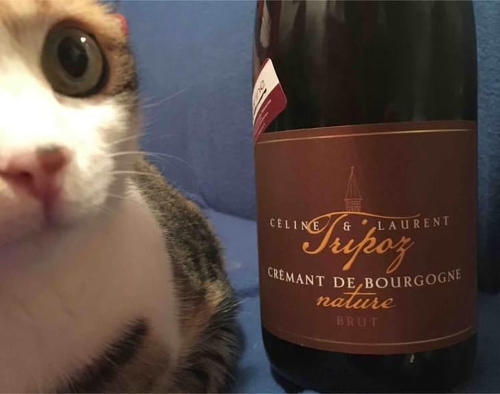 Crémant de Bourgogne Brut Nature - Domaine Tripoz - Céline & Laurent Tripoz 