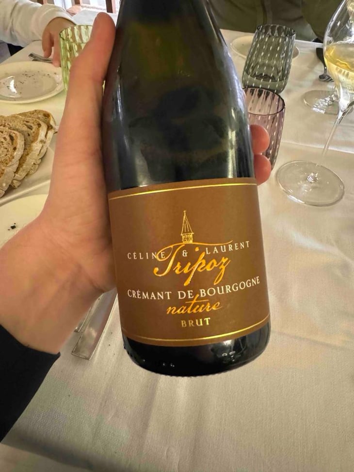Crémant de Bourgogne Brut Nature - Domaine Tripoz - Céline & Laurent Tripoz 