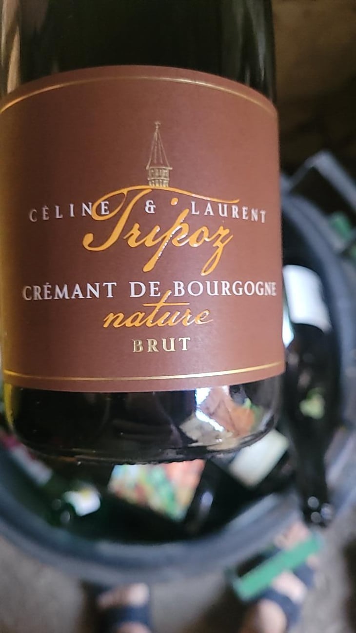 Crémant de Bourgogne Brut Nature - Domaine Tripoz - Céline & Laurent Tripoz 