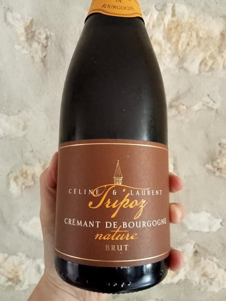 Crémant de Bourgogne Brut Nature - Domaine Tripoz - Céline & Laurent Tripoz 