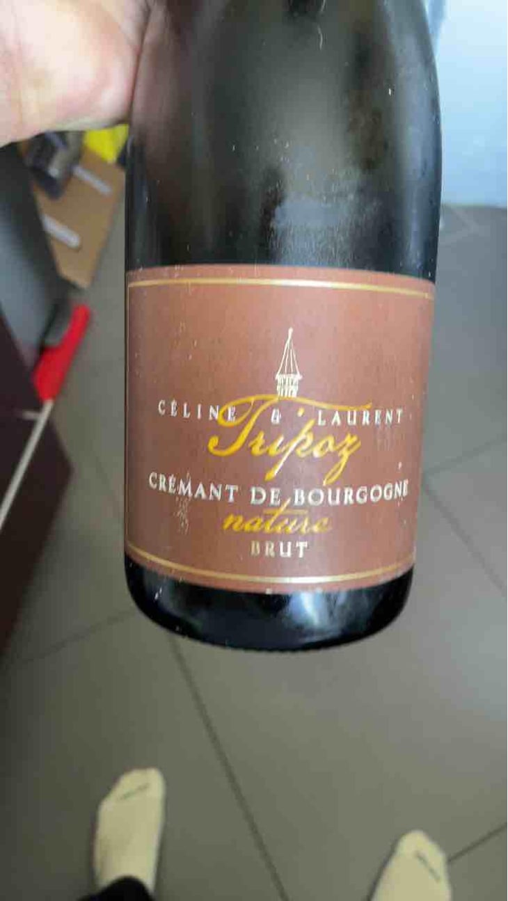 Crémant De Bourgogne Brut Prestige - Domaine Tripoz - Céline & Laurent Tripoz 