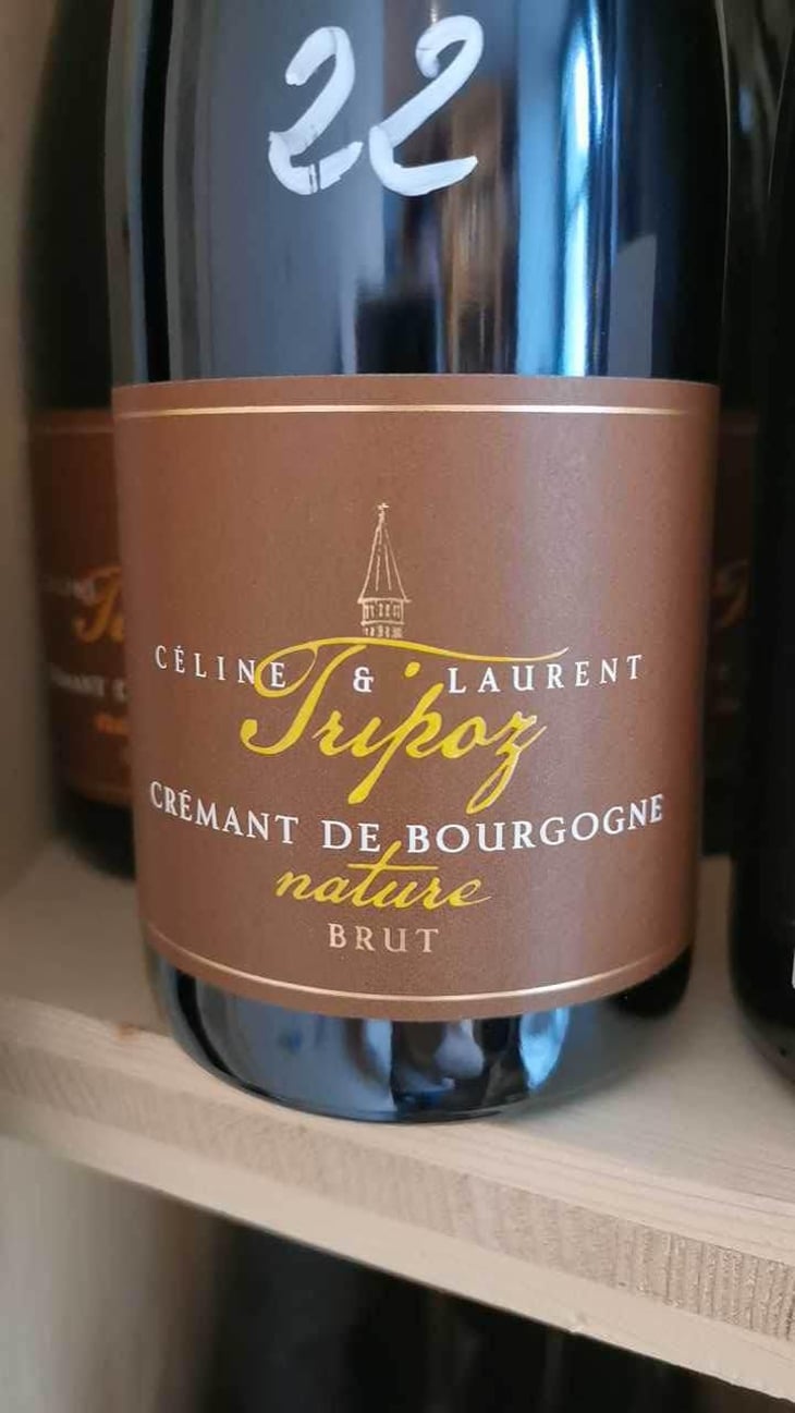 Crémant De Bourgogne Brut Prestige - Domaine Tripoz - Céline & Laurent Tripoz 