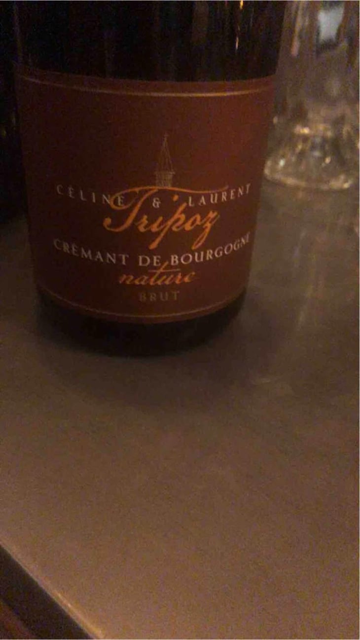 Crémant De Bourgogne Brut Prestige - Domaine Tripoz - Céline & Laurent Tripoz 