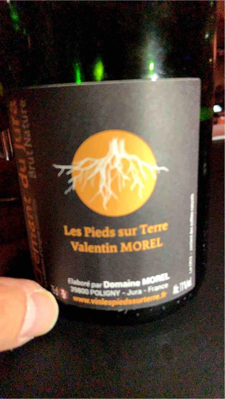 Crémant du Jura Brut Nature - Les Pieds Sur Terre - Valentin Morel 
