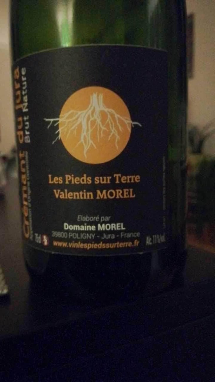 Crémant du Jura Brut Nature - Les Pieds Sur Terre - Valentin Morel 