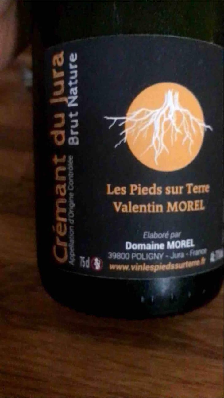 Crémant du Jura Brut Nature - Les Pieds Sur Terre - Valentin Morel 