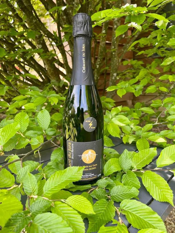 Crémant du Jura Brut Nature - Les Pieds Sur Terre - Valentin Morel 