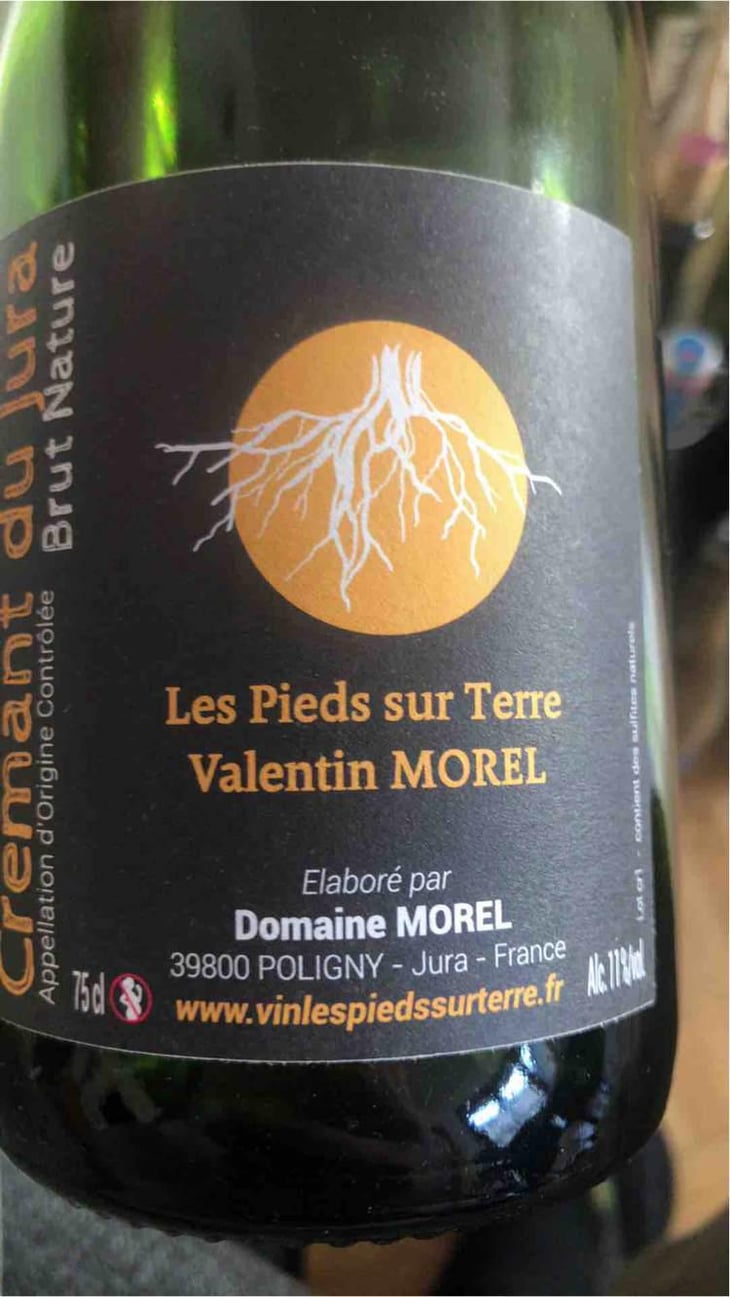 Crémant du Jura Rosé - Les Pieds Sur Terre - Valentin Morel 