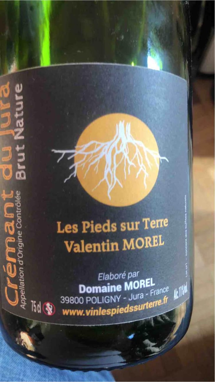 Crémant du Jura Rosé - Les Pieds Sur Terre - Valentin Morel 