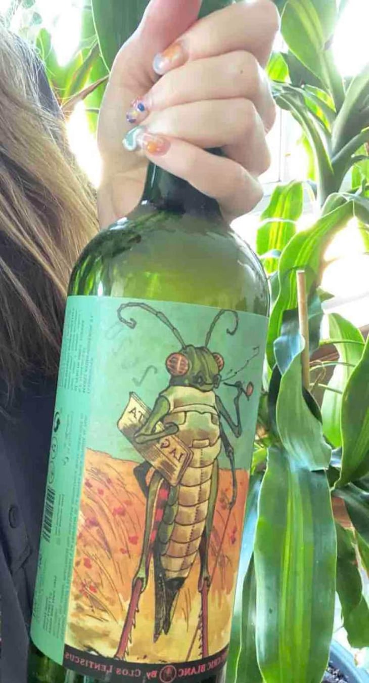Cric Cric Blanc - Clos Lentiscus - Manel Aviñó 