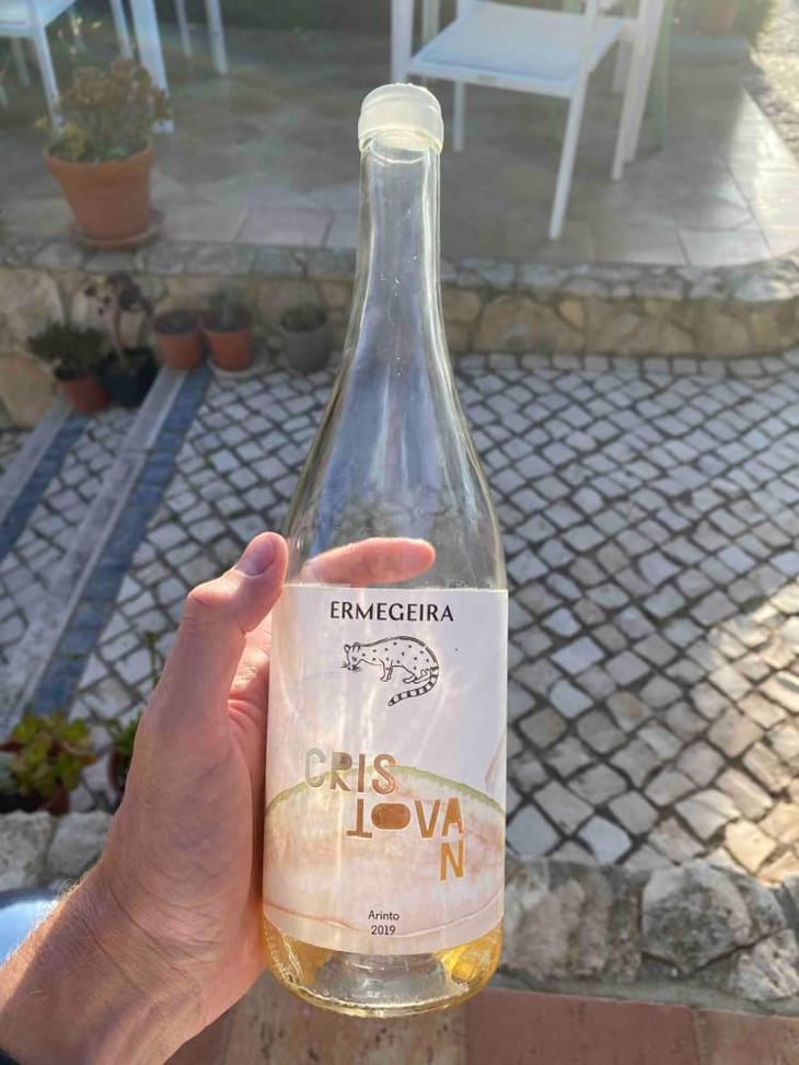 Cristovan - Quinta da Ermegeira - Ricardo Melo 