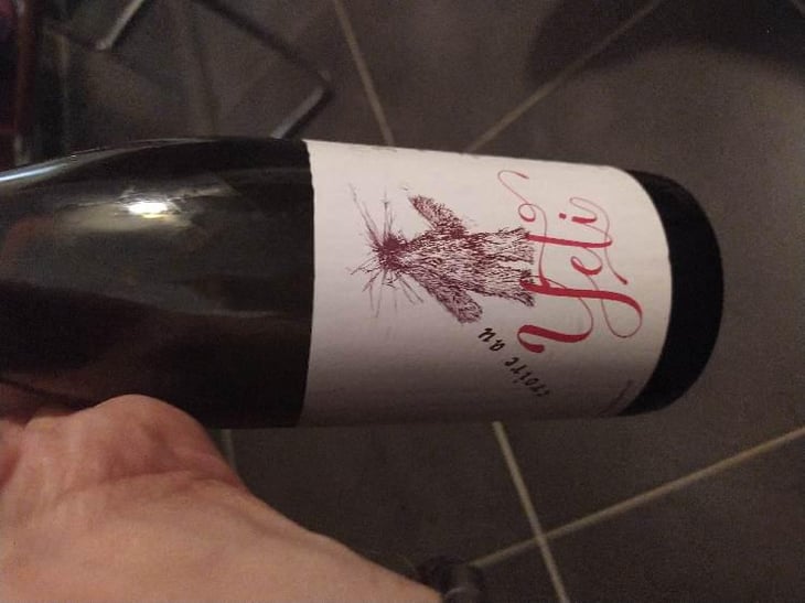 Croire Au Yéti - Des Vins D’Envie - Guillaume Lavie & Maxime Dancoine 