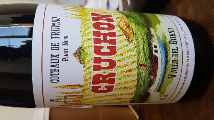 Cruchon - Coteaux de Trumao - Hermanos Porte & Quentin Javoy 