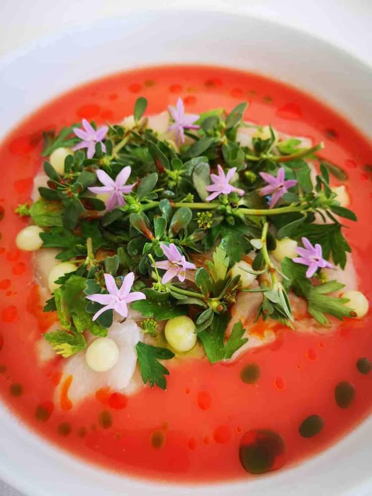 Crudo De Maigre / Pulpe Citron / Eau De Tomate / Pourpier - Es / Pacìo - 520279