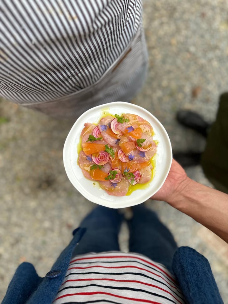 Crudo Di Ricciola - Agriturismo Valleponci - 784670