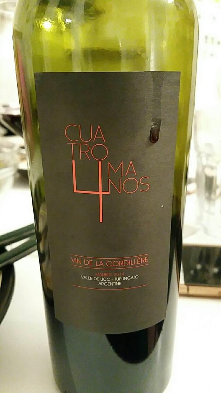 Cuatro Manos - Cuatro Manos - Les Vins Tonton - Vincent Wallard 