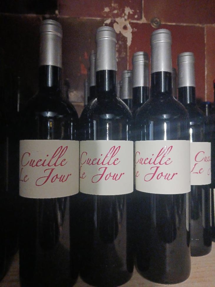 Cueille Le Jour - Domaine Saint-Bacchi - Christian Valensisi -2019
