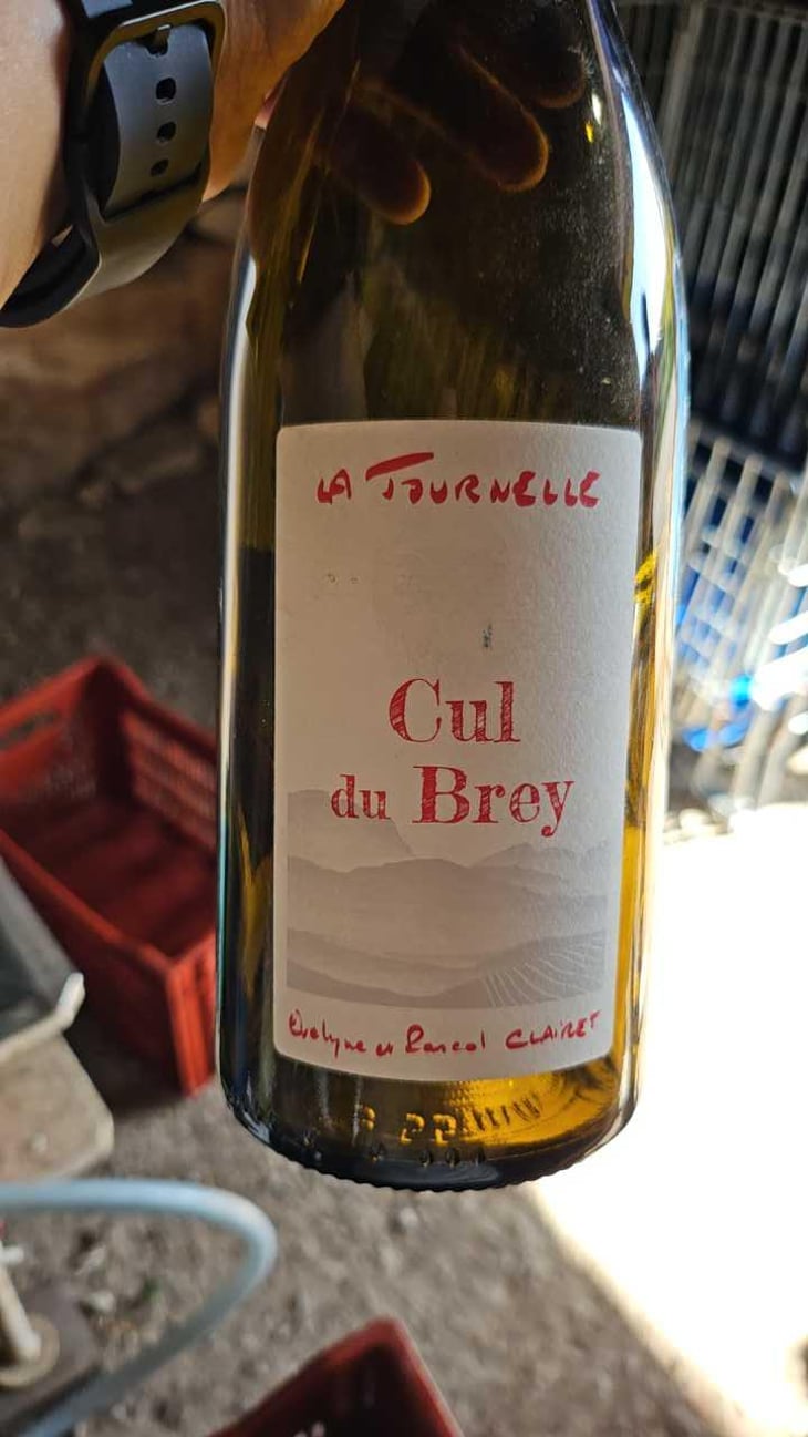 Cul du Brey Rouge - Domaine de la Tournelle - Evelyne Clairet 