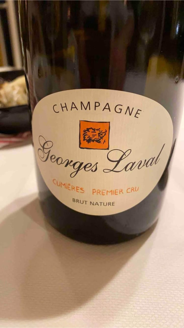 Cumières Premier Cru Brut Nature - Champagne Georges Laval - Mathilde et Vincent Laval 