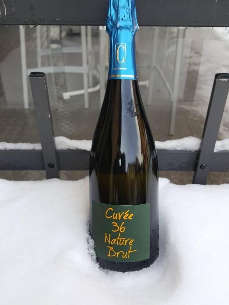 Cuvèe 36 Nature Brut - Casa Caterina - Aurelio & Emilio del Bono 