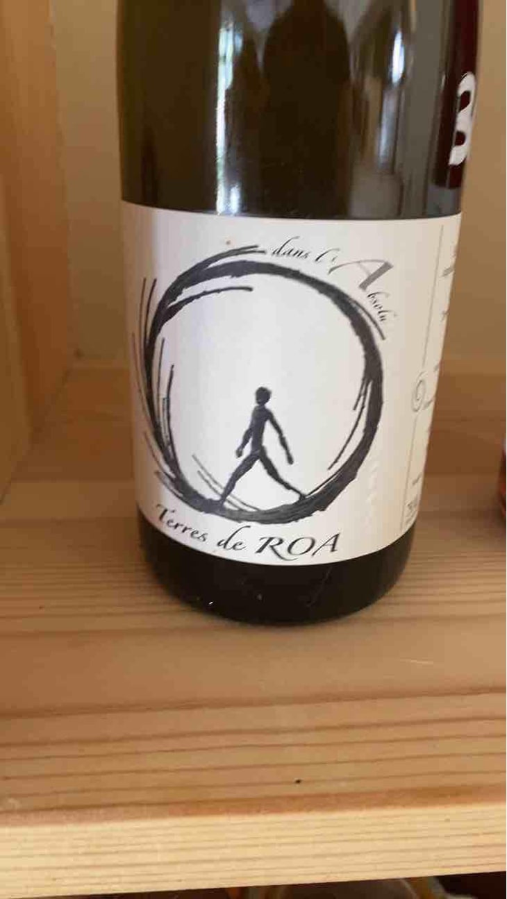 Cuvée « A », Dans L'Absolu - Vignoble des Vernusses - Loren PETIT -2022