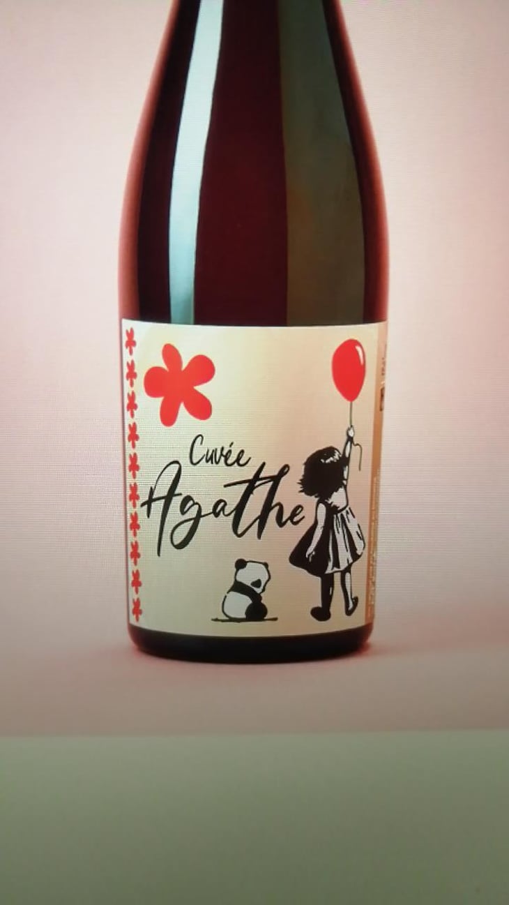 Cuvée Agathe - Larcelet Vincent - Domaine du Petit Bouchon - Vincent Larcelet 