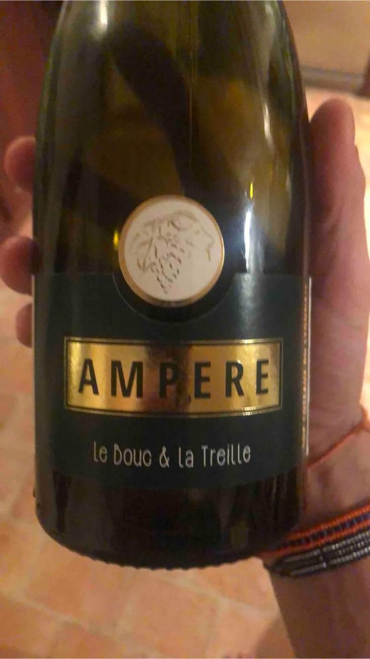 Cuvée Ampere - Le Bouc Et La Treille - Yves et Timothée Bouc 