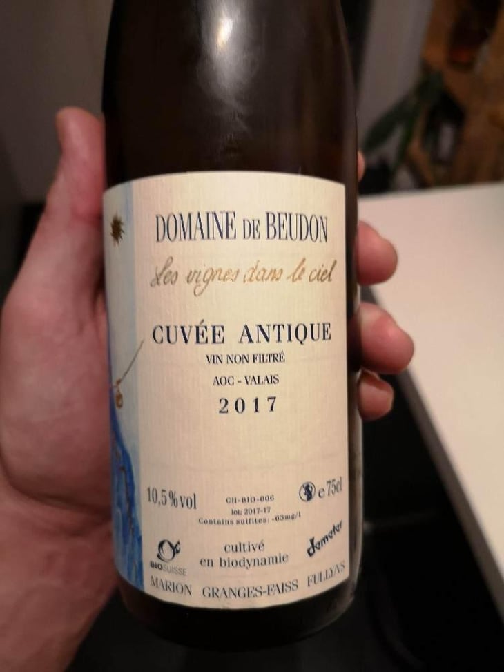 Cuvée Antique - Domaine de Beudon - Marion Granges-Fayss 