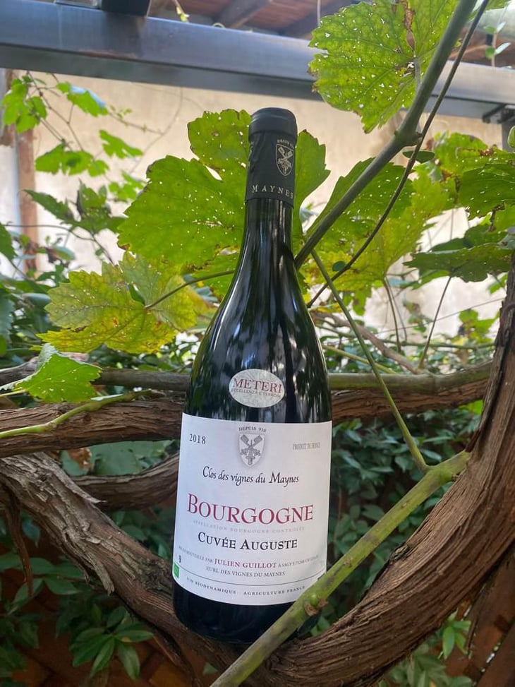 Cuvée Auguste - Clos des Vignes du Maynes - Julien Guillot 