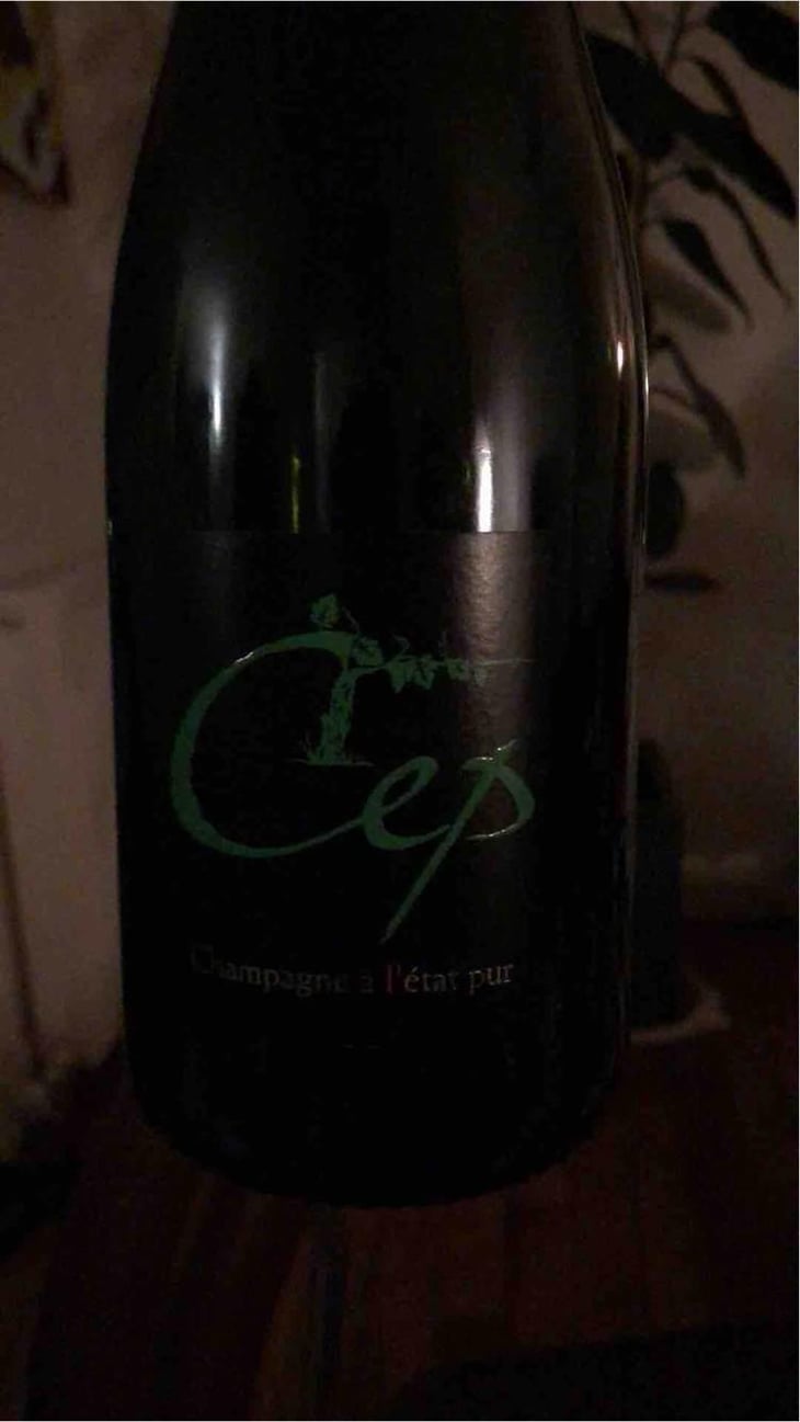 Cuvée Cep - Jean Michel - Jean Michel 