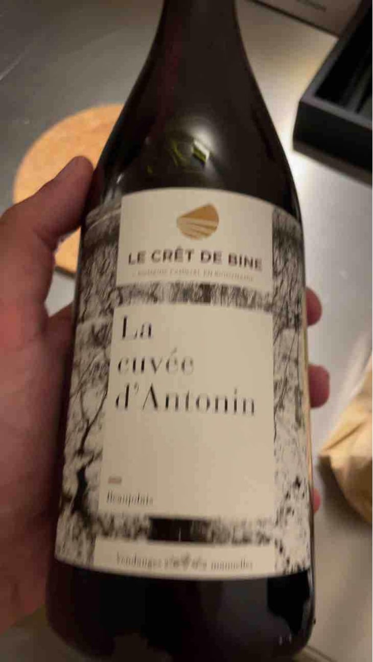 Cuvée D’Antonin - Domaine Du Crêt De Bine - Geoffroy Subrin & Florence Subrin Dodille 