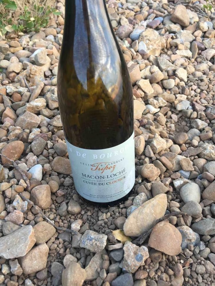 Cuvée Du Clocher - Domaine Tripoz - Céline & Laurent Tripoz 