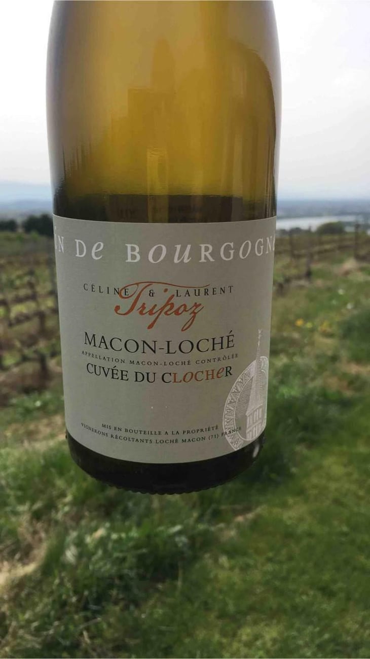 Cuvée Du Clocher - Domaine Tripoz - Céline & Laurent Tripoz 