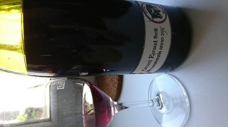 Cuvée Igor 2011 - Domaine de Rapatel - Gérard Eyraud -2011
